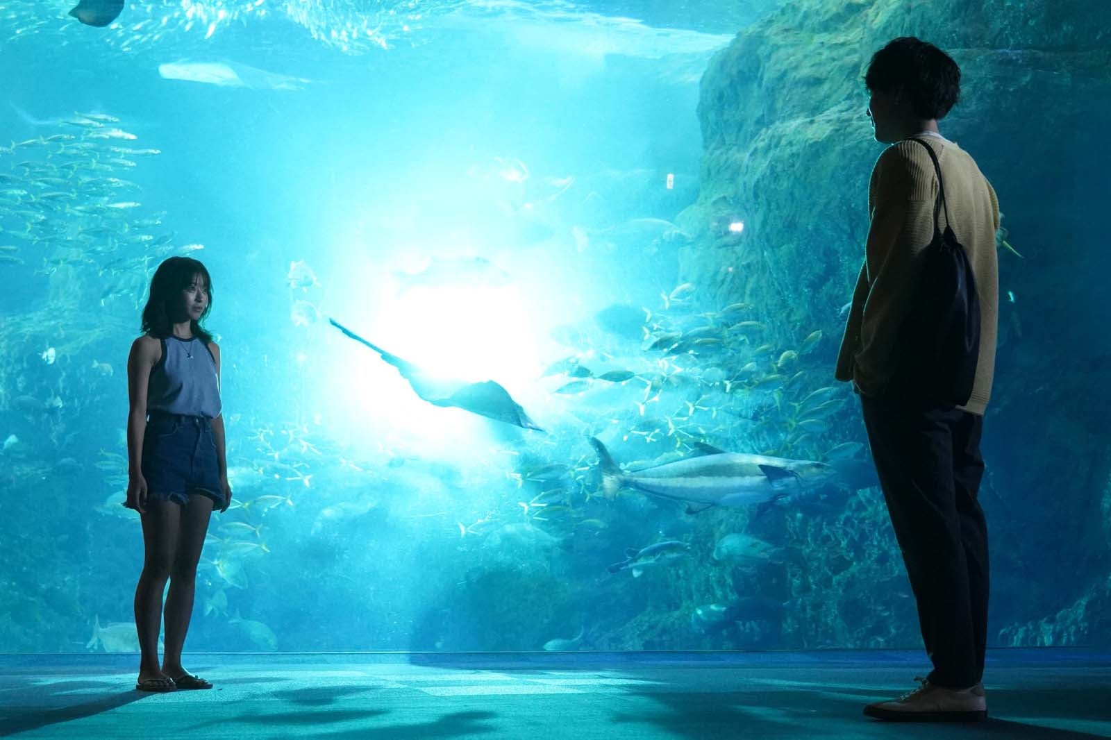 森七菜、間宮祥太朗「真夏のシンデレラ」より（C）フジテレビ