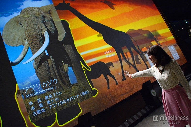 離れた場所でも非接触のセンサーが手の動きを認識し、捕まえた動物の豆知識を表示する「アニマルペディア」