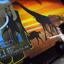 離れた場所でも非接触のセンサーが手の動きを認識し、捕まえた動物の豆知識を表示する「アニマルペディア」