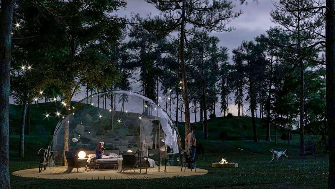 「AURA」日本初の透明ドームに泊まれるグランピングがオープン