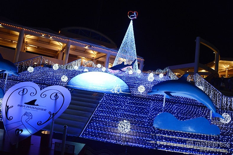 光り輝くドルフィンツリー