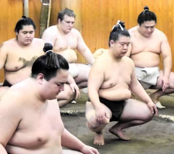 新大関安青錦が相撲を取る稽古再開、メディア出演も一段落「年が明けるまで。相撲に集中する」【大相撲】