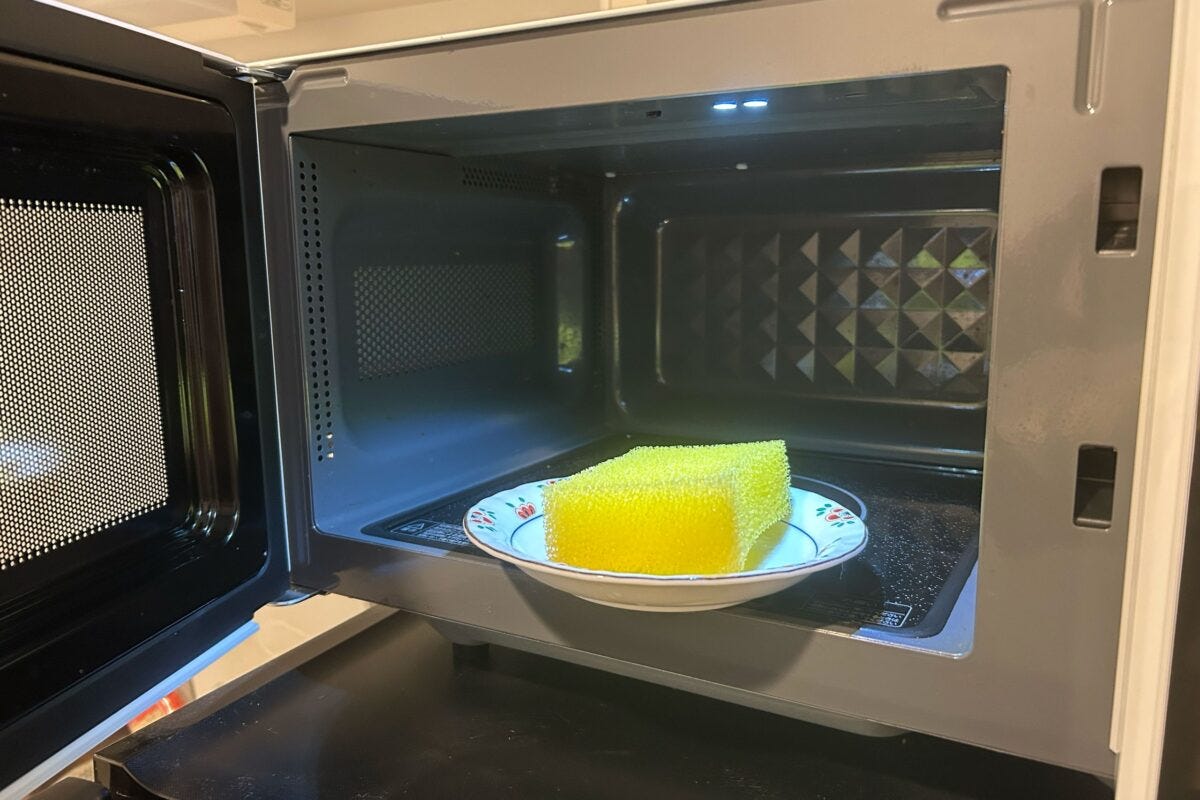 電子レンジと食器用スポンジ