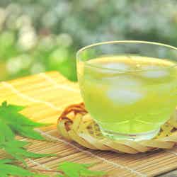 Glamping&Port 結/画像提供:ブッキングリゾート