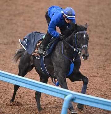 【共同通信杯】リアライズシリウス 文句なし最終リハ 手塚久師「今の持てる全力を出せる仕上がり」重賞2勝目へ好気配
