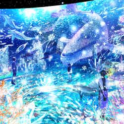 AREA6 PARADISE/画像提供:アカツキライブエンターテインメント