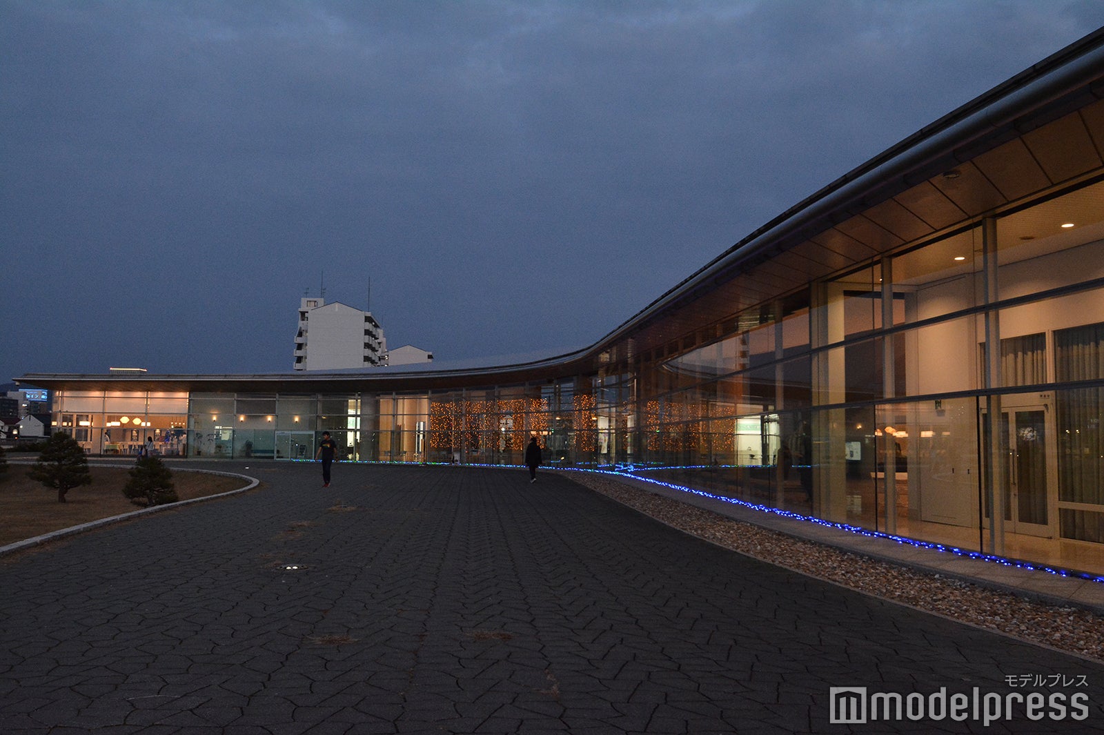 （C）モデルプレス