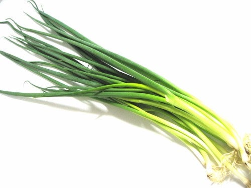 万能ネギ