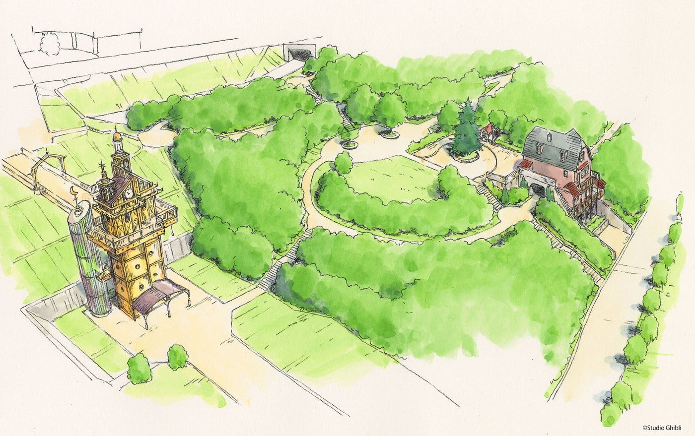 青春の丘（C）Studio Ghibli
