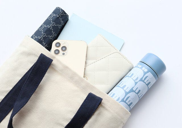 宝島社　大人のおしゃれ手帖9月号　付録　フィンレイソン　ドリンクボトル　持ち運び