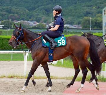 【新馬戦】シホノノービレ エンジン性能ピカイチ 佐藤悠師も期待「初戦から動いて欲しい」