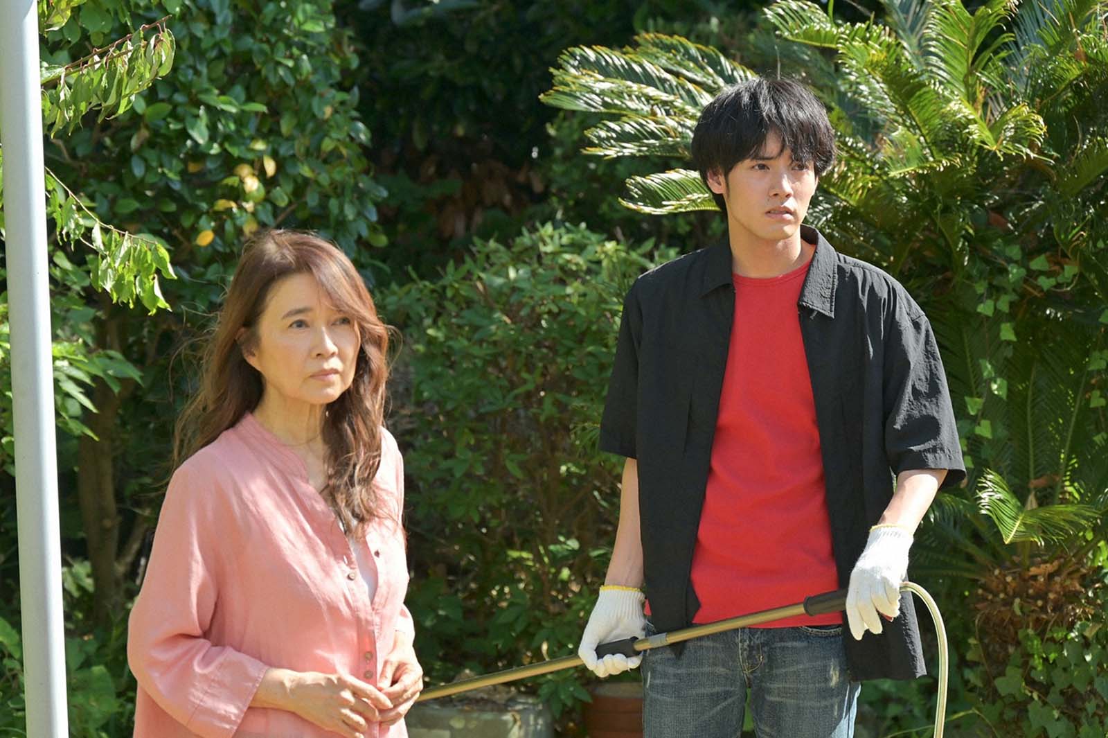 赤楚衛二「石子と羽男―そんなコトで訴えます？―」第5話より（C）TBS