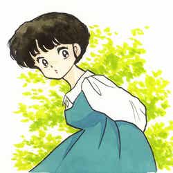 ショートヘアの天道あかね(c)高橋留美子/小学館