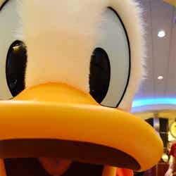 ディズニーアンバサダーホテル内レストラン「シェフ・ミッキー」ドナルドダック