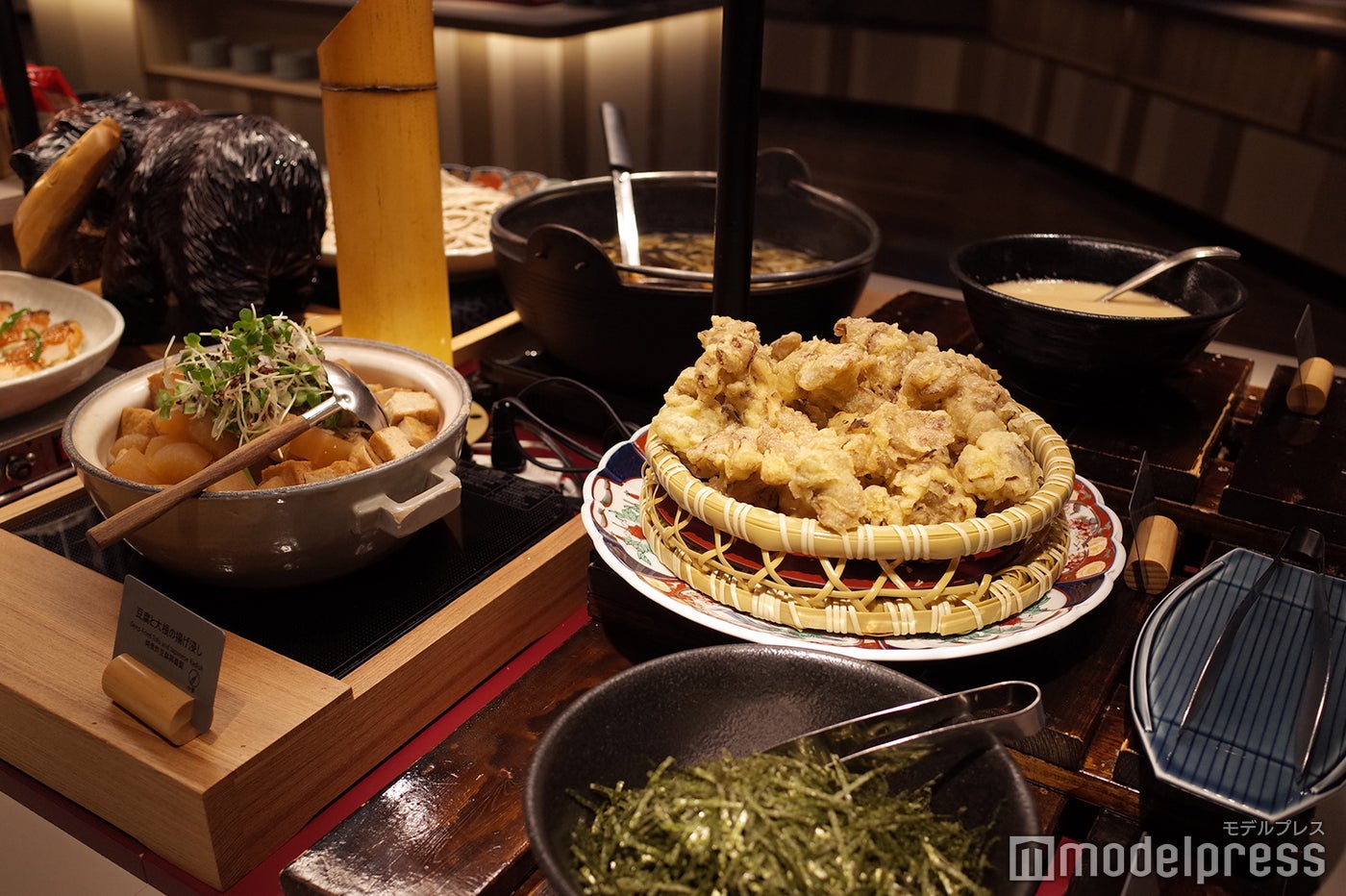 星野リゾート　トマム（C）モデルプレス