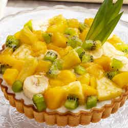 Splash Tart Gallery/画像提供:ヒルトン小田原リゾート&スパ