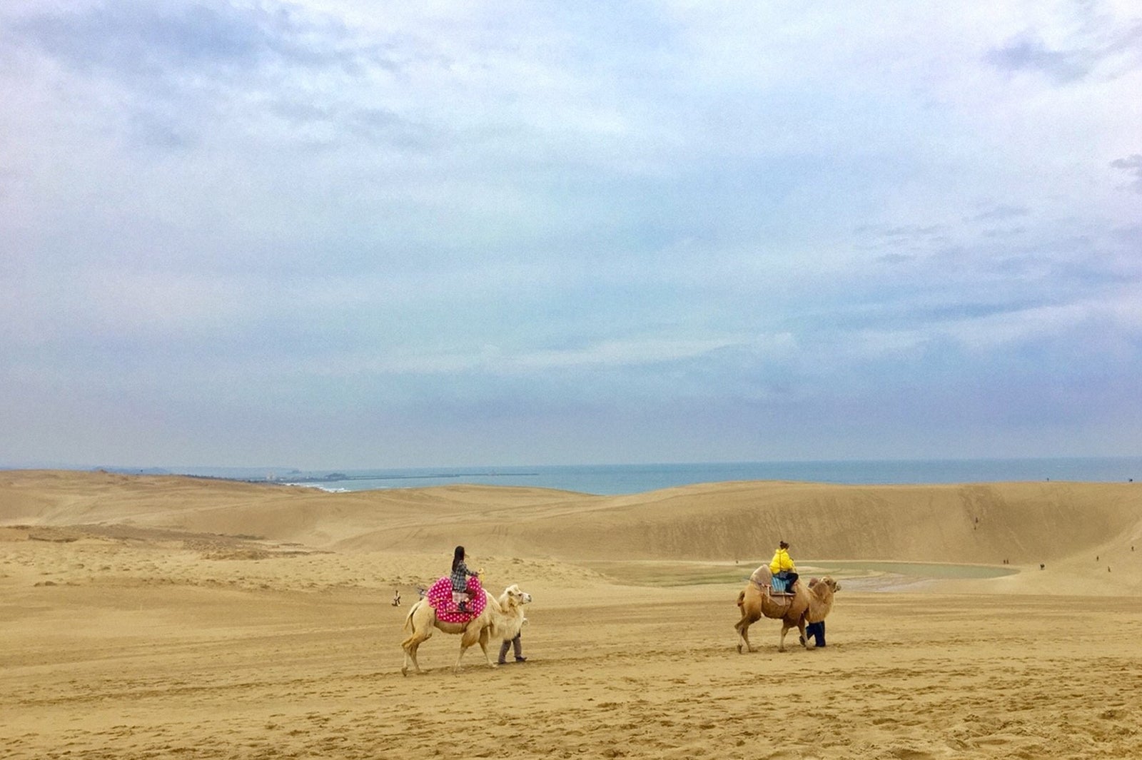 ラグダに乗って砂丘を散策（C）TBS