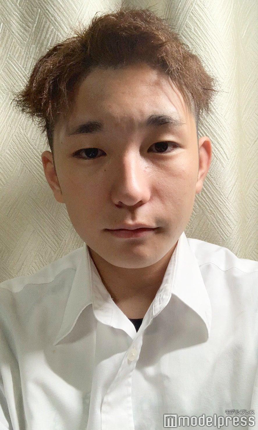 北海道・東北エリアの候補者