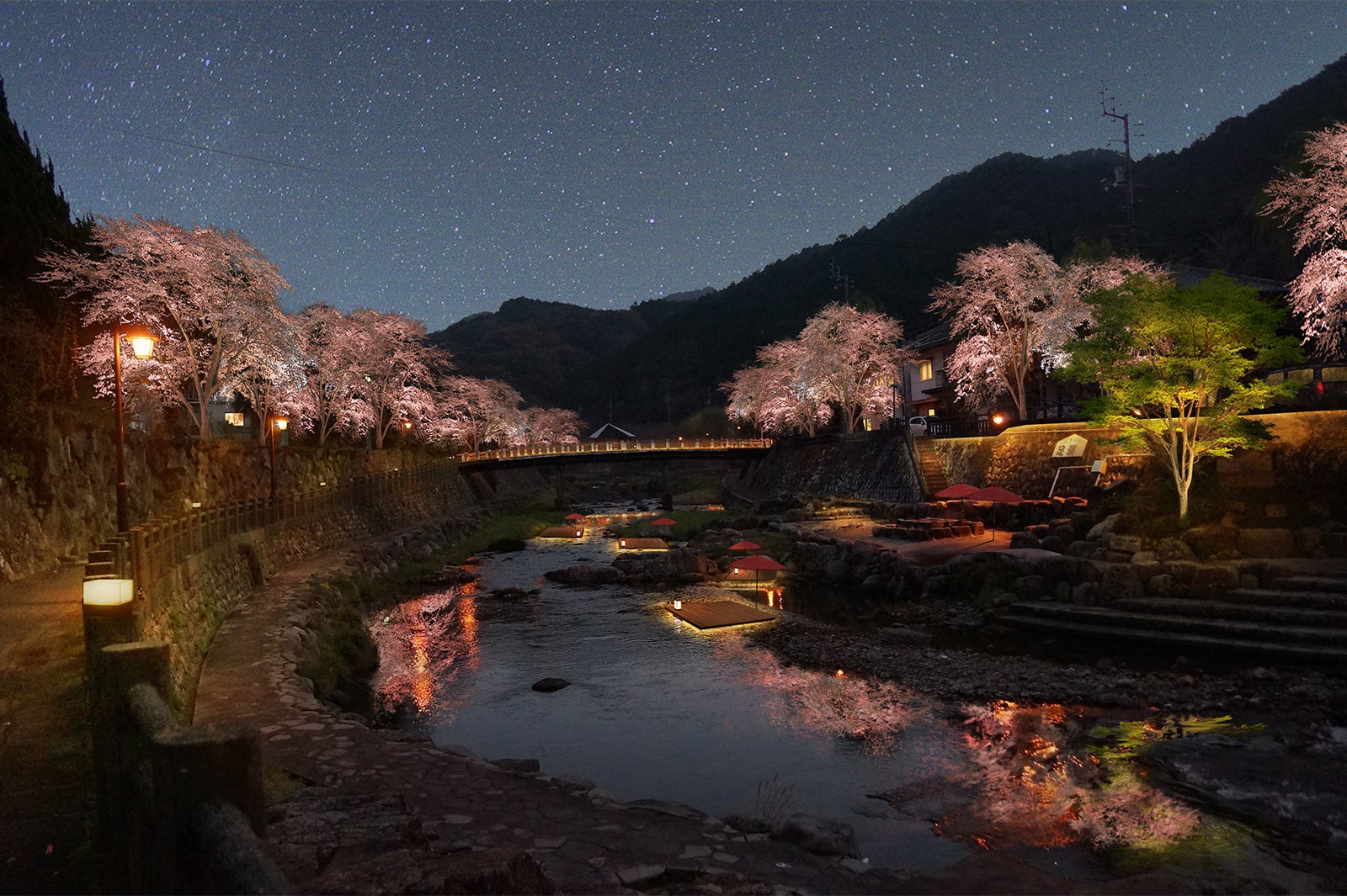 【長門湯本温泉】桜イメージ／画像提供：星野リゾート