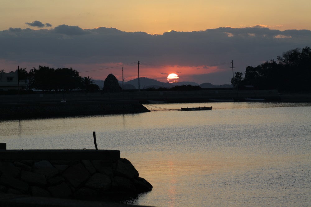 おとまり忠左衛門「吉野」／画像提供：井上誠耕園