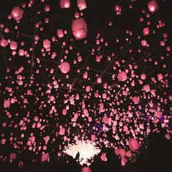 花見灯夜2026/提供画像