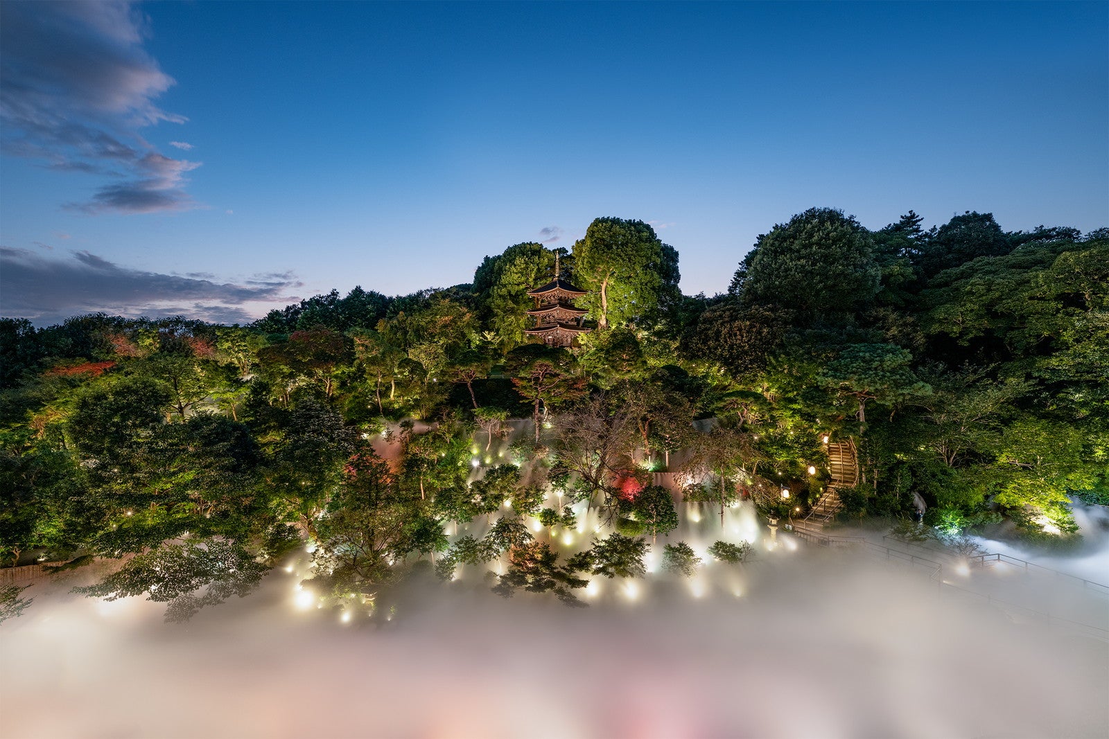 東京雲海／提供画像