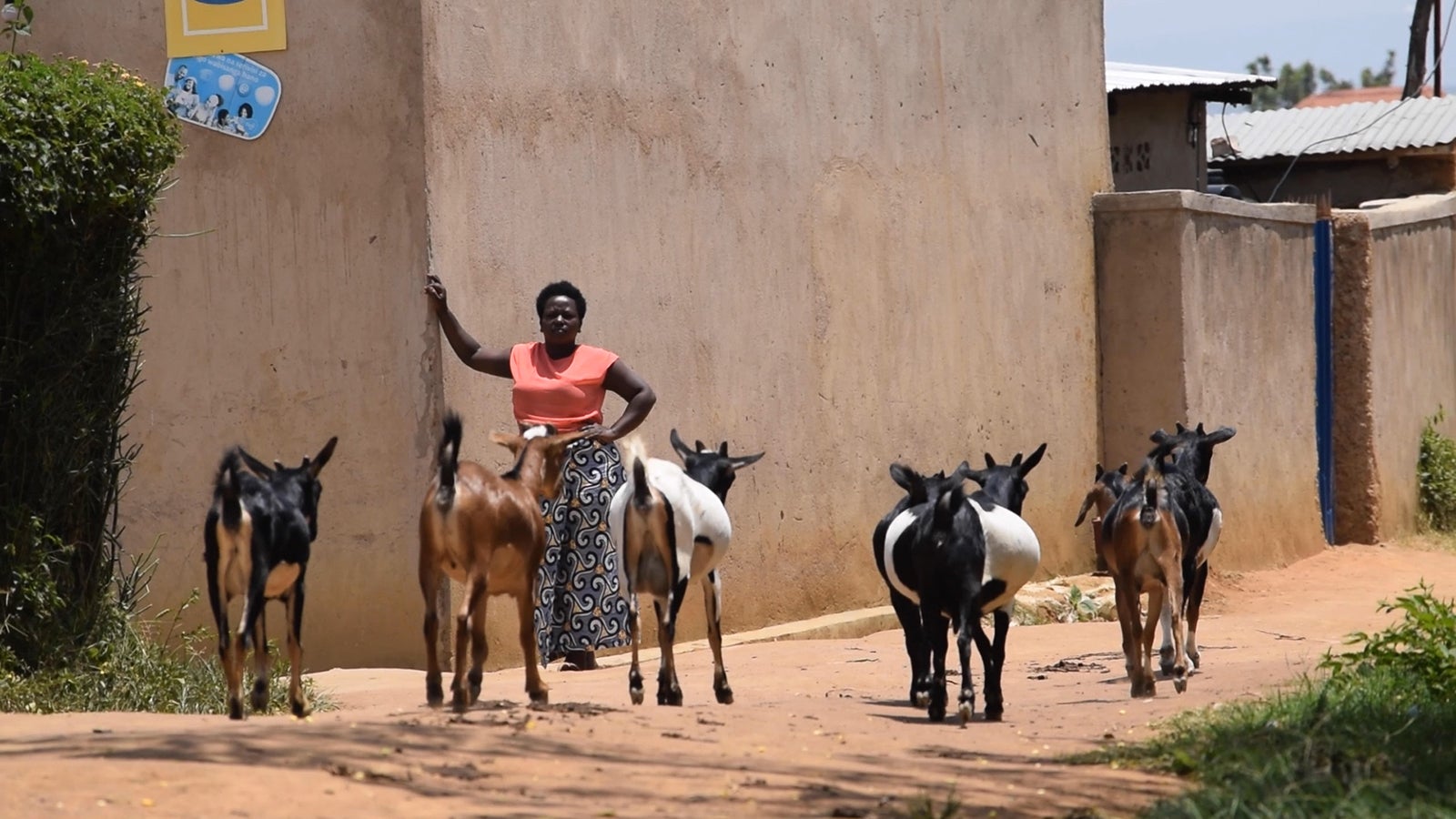 「あいのり：African Journey」第14話より（C）フジテレビ