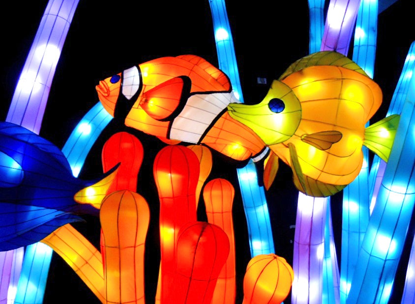 メイン会場／画像提供：芝政観光開発株式会社