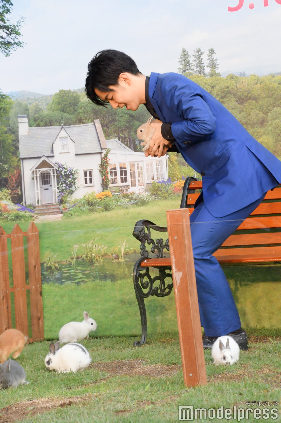 ウサギをキャッチ （C）モデルプレス