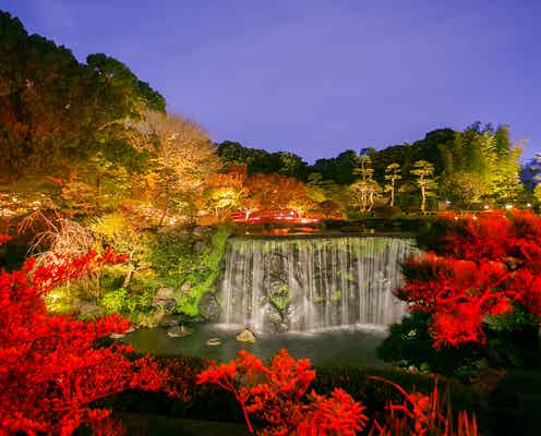 週末何する?次の休みに行くお出かけスポット7選vol.155