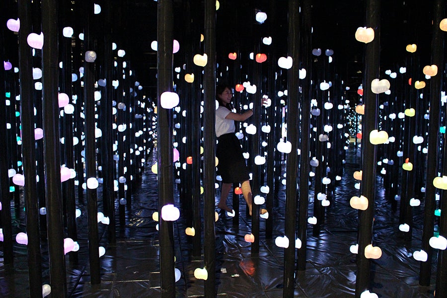 MORI Building DIGITAL ART MUSEUM: EPSON teamLab Borderless