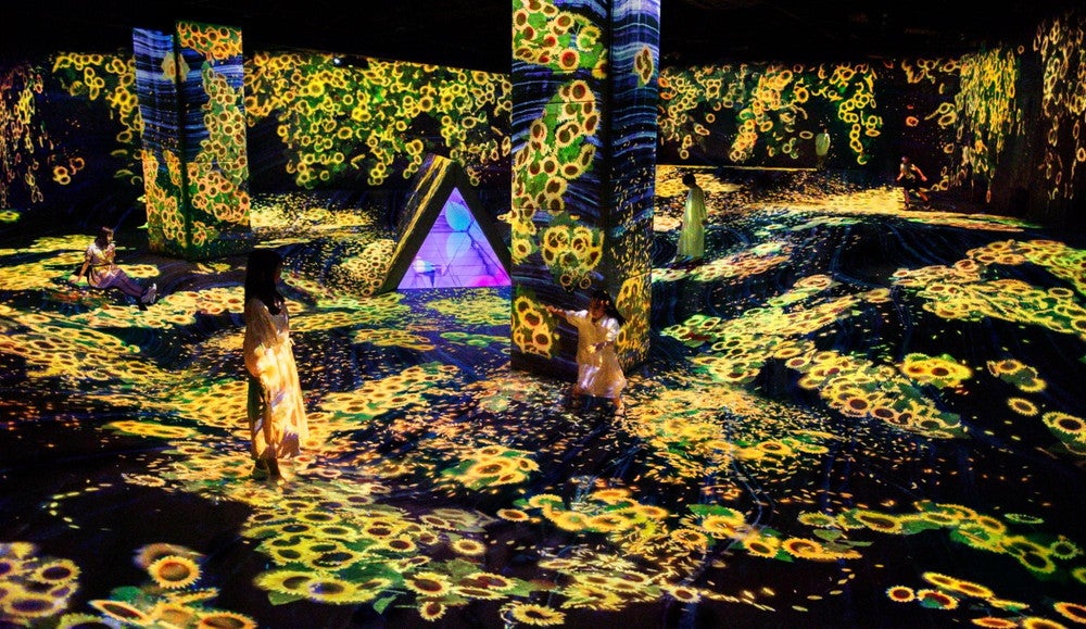 福岡「チームラボフォレスト」ひまわりが咲き渡る夏限定アート公開