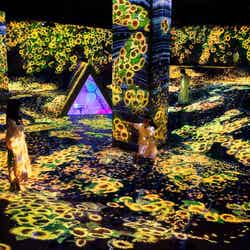 うごめく谷の花と共に生きる生き物たち - A Whole Year per Year/画像提供:チームラボ