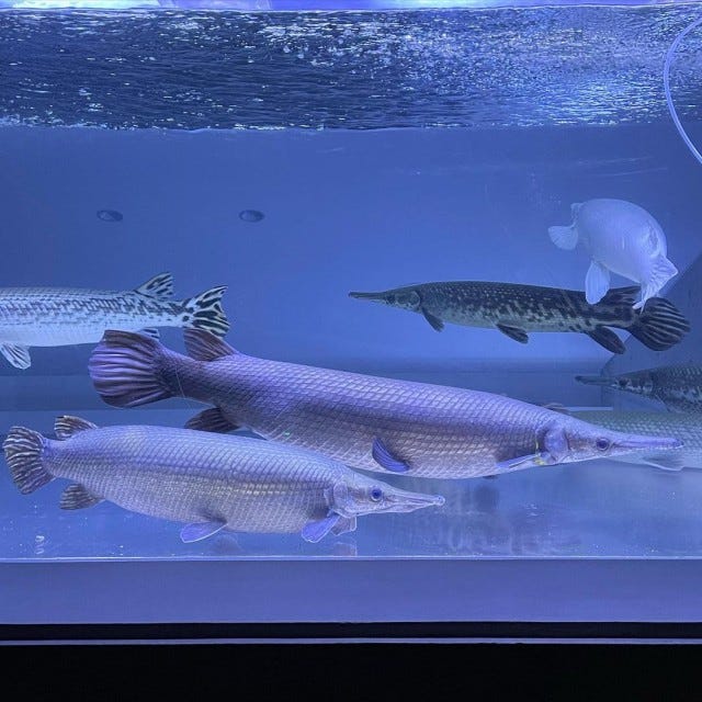 地元民だから知っている「奈良のイチオシグルメ＆専門店」3選