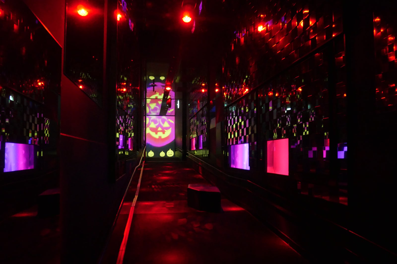 「クラゲとハロウィン」昼・夜の照明／画像提供：すみだ水族館