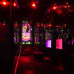 「クラゲとハロウィン」昼・夜の照明/画像提供:すみだ水族館