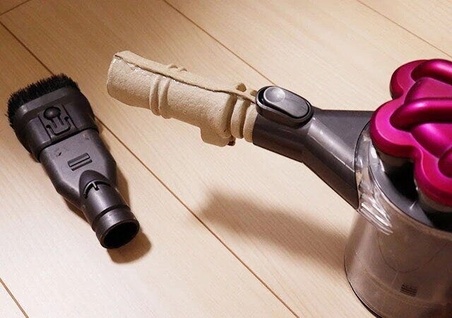 ダイソー　ゴキすぅーぽん