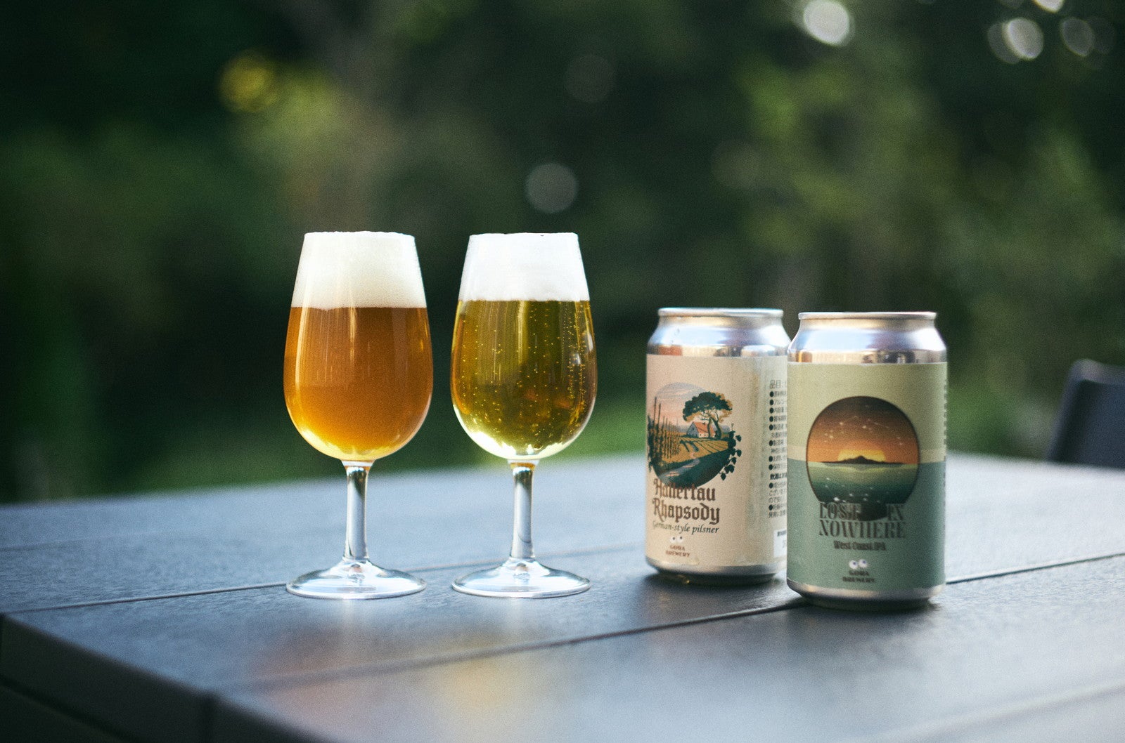 ジオスポット 元箱根（提供写真）