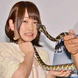 サプライズで登場したニシキヘビに怯えるAKB48の川栄李奈