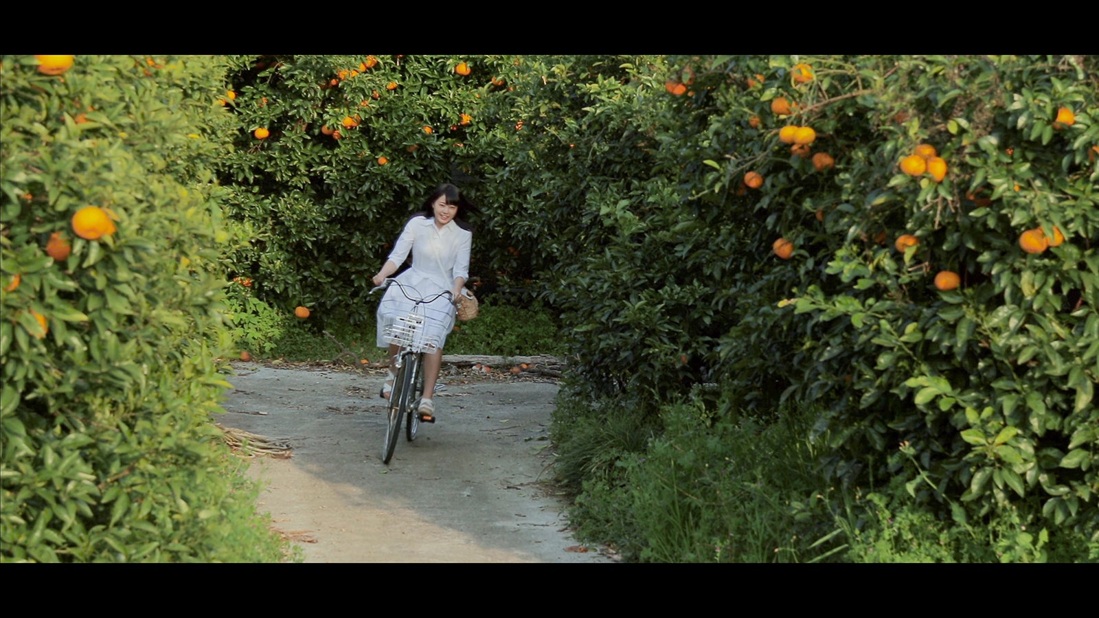 広島県呉市豊町 （C）AKS