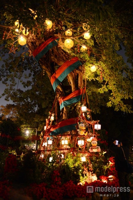 ロストリバーデルタのツリー／TDS