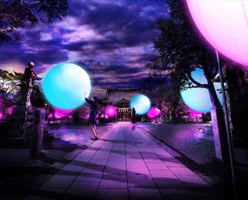 長崎県の森と神社が光のアート空間に変貌 自然を彩るまばゆい光で満ちる