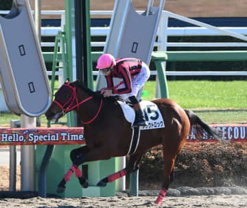 【新馬戦】クラウトロック 8馬身差圧倒で初陣飾る プーシャン「最後は遊ぶところもあったが、力通りだった」