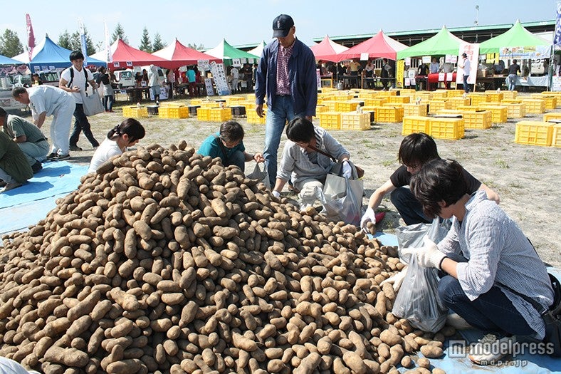 ジャガイモつめ放題イメージ／画像提供：太陽のマルシェ実行委員会