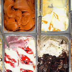 表参道に20店舗以上のジェラートが集結(写真はイメージ)/photo by mattacevedo【モデルプレス】