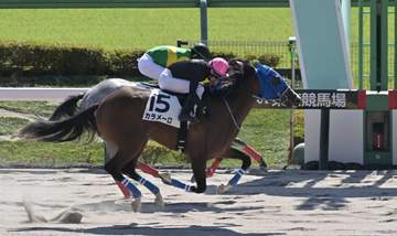 【新馬戦】カラメーロ 鼻差制して初陣飾る 大野が相棒称える「手応え良く、抜け出してからもしっかり走ってくれた」