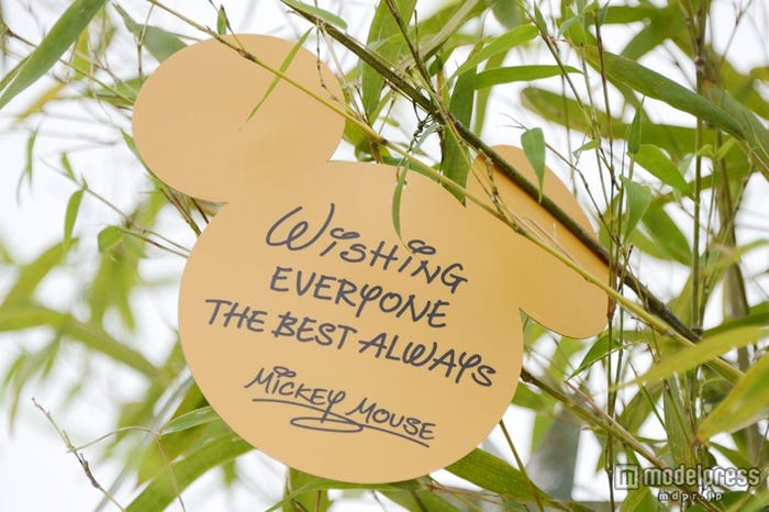 ミッキーの短冊