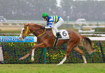 【新馬戦】ワイドシュテルケ 危なげなく押し切り 藤岡佑「現状では課題らしい課題はありません」