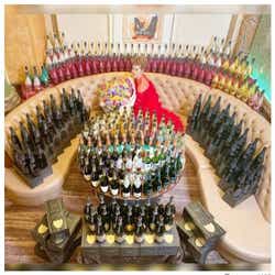 エンリケ 1泊50万 ディズニーホテルのスィートに宿泊 待ち時間なし Vipツアーが話題 モデルプレス