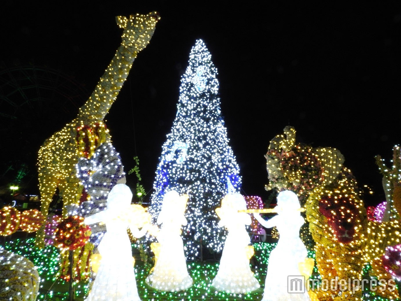 メロディーツリー昨年の様子／画像提供：東武動物公園